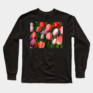 Boston Public Garden Spring Tulips Boston MA Long Sleeve T-Shirt